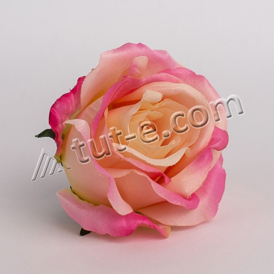Головка розы ЛЮКСОР  крупная розово-персиковая - 6шт