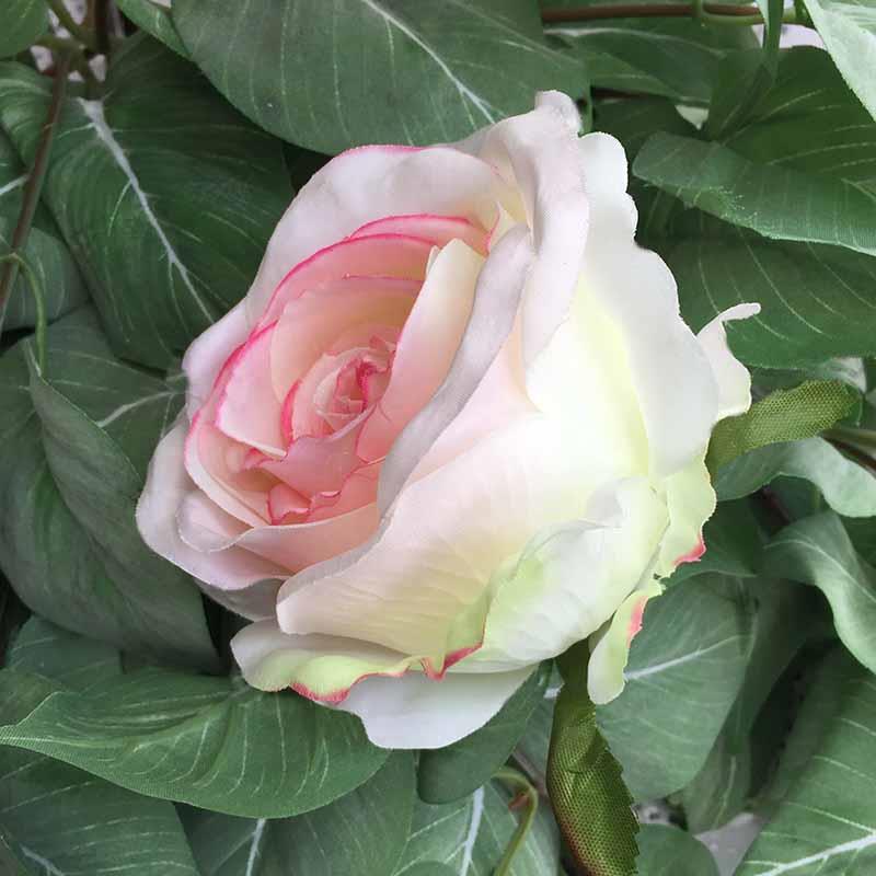 Головка розы КАРДИНАЛ молочная с розовым - 6шт