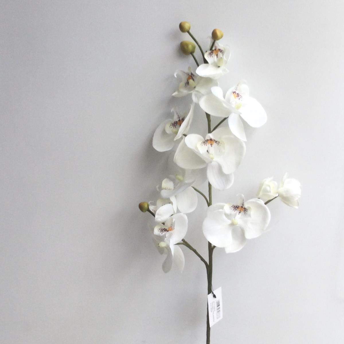 Ветка орхидеи молочная 85см