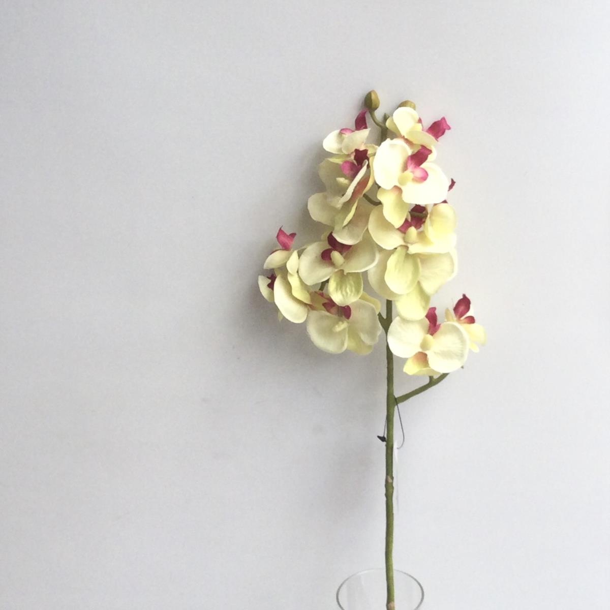 Ветка мелкой орхидеи салатово-лимонная 54см