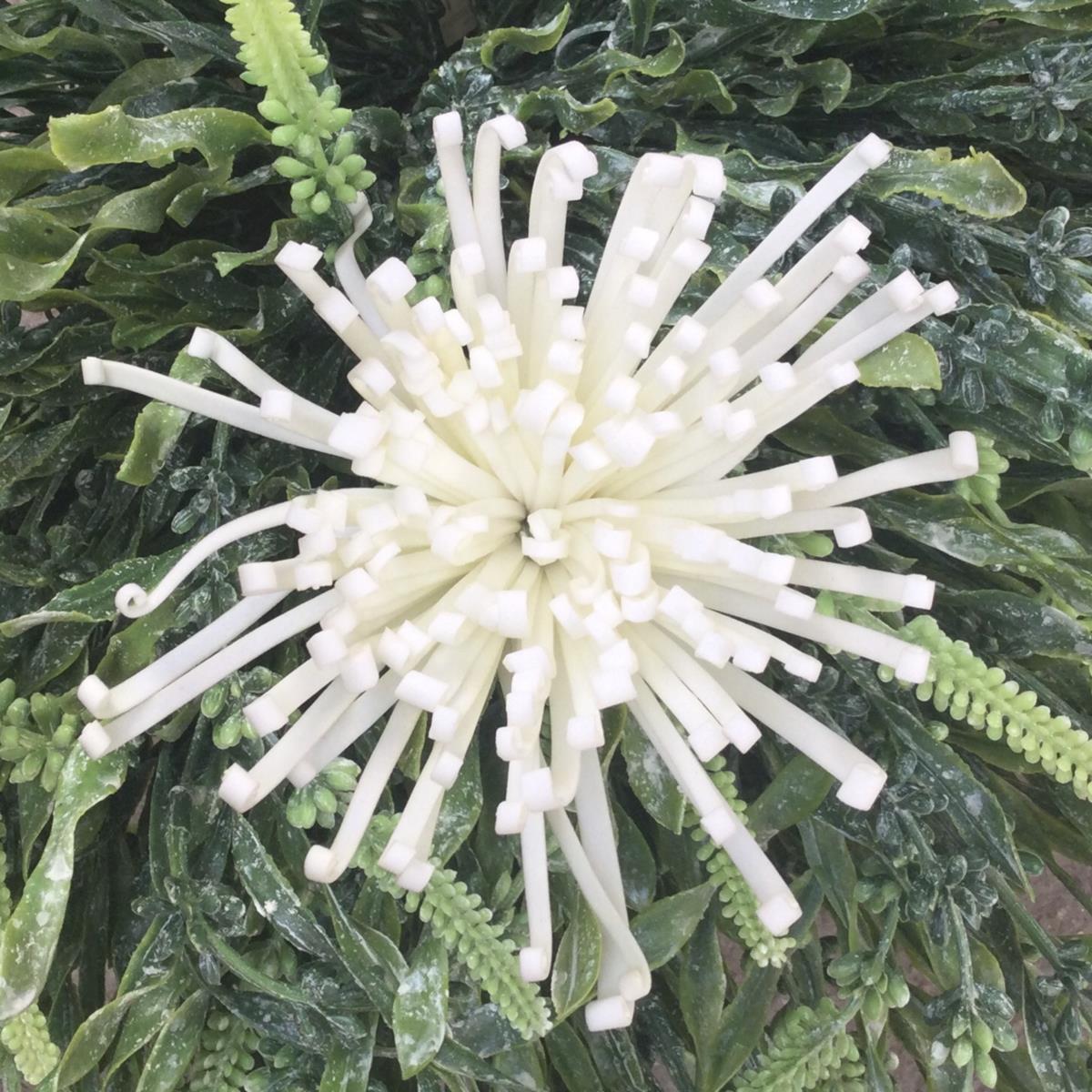 Головка японской хризантемы молочная 14см