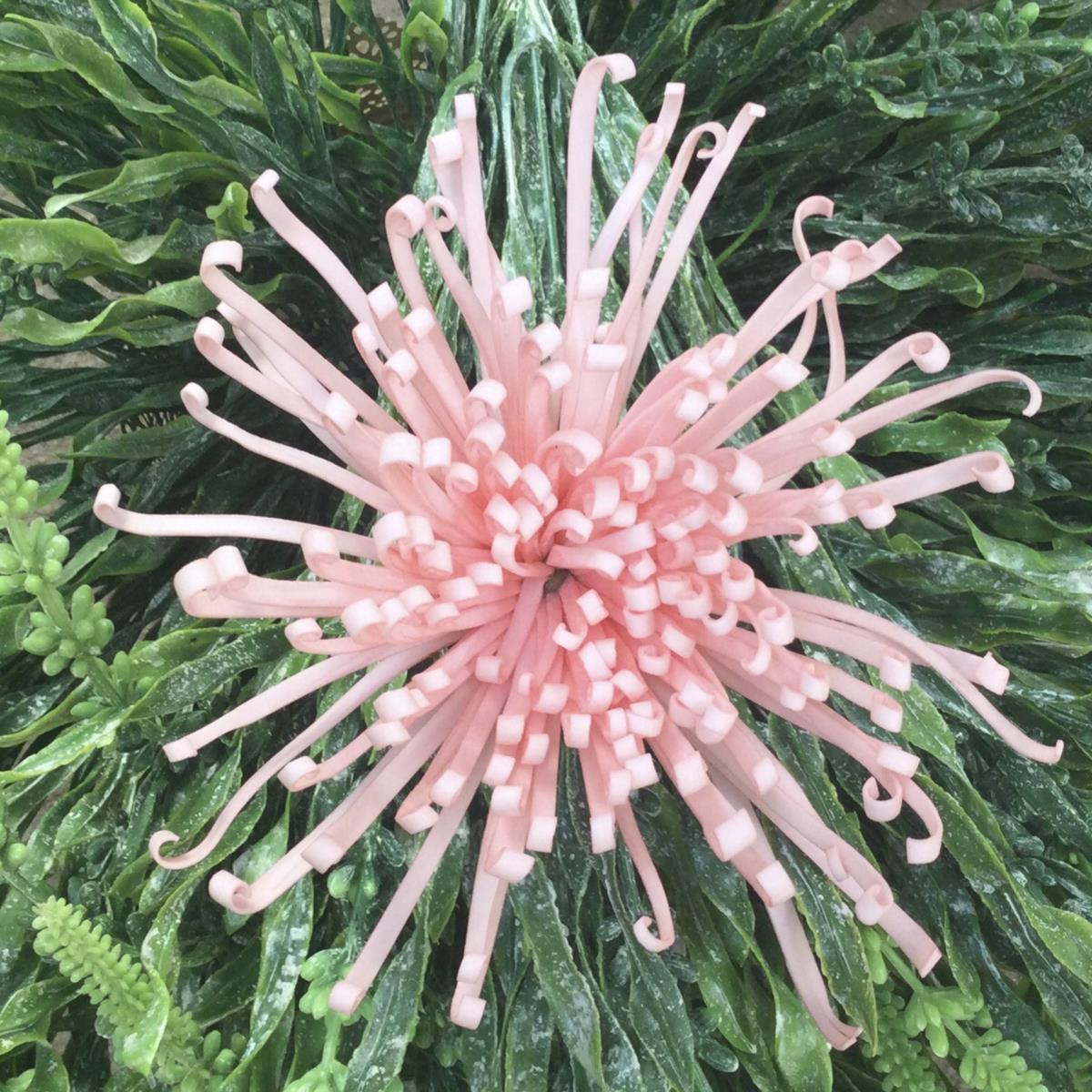Головка японской хризантемы розовая 14см
