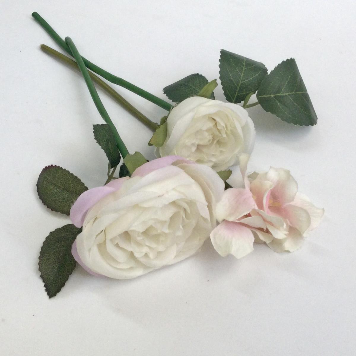Связка шиповниковой розы белая с сиреневым краем