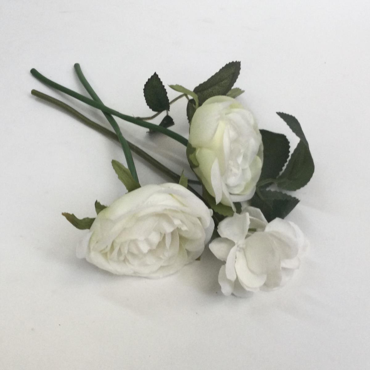 Связка шиповниковой розы белая 