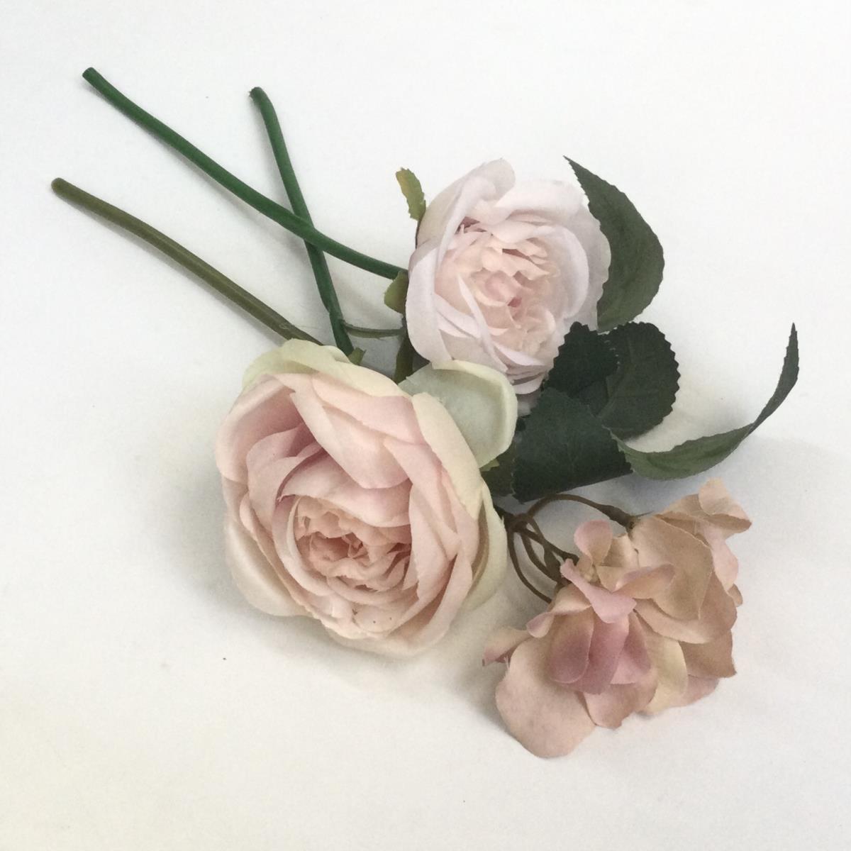 Связка шиповниковой розы пудово- розовая