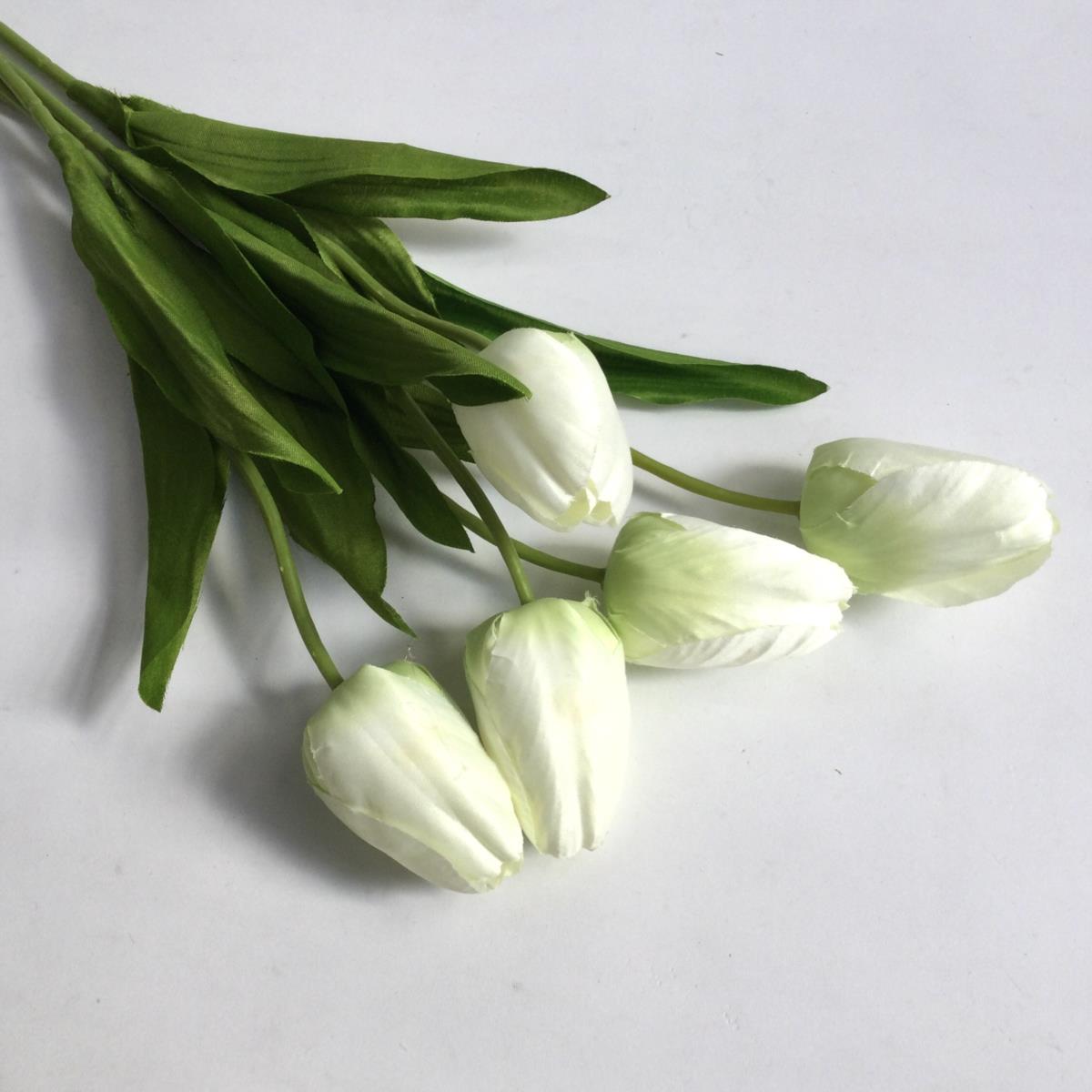 Тюльпан крупный белый 40см - 5шт