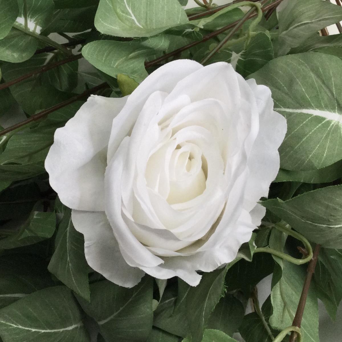 Головка розы Кардинал белая