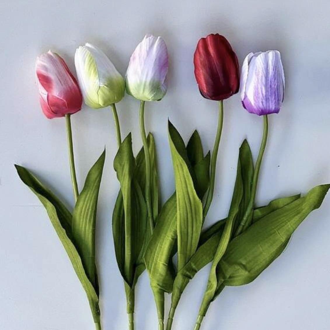 Тюльпан 50см - 5 расцветок - 60шт