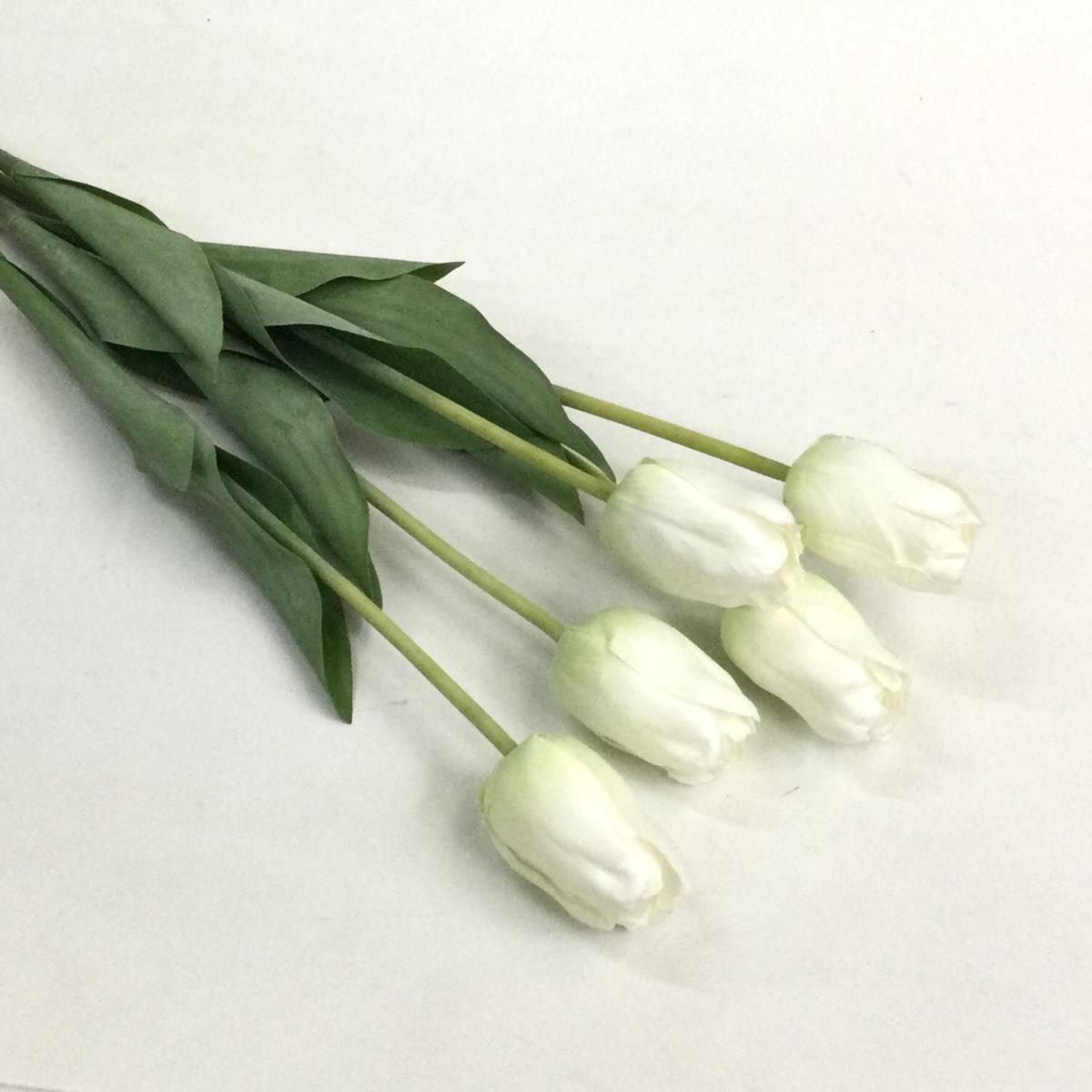Связка белых тюльпанов 50см- 5шт