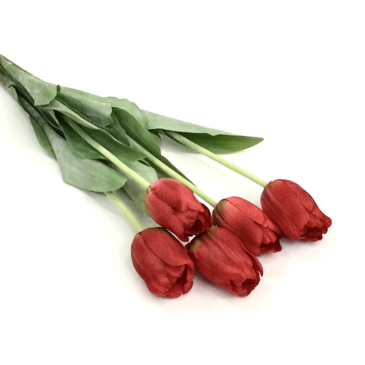 Связка красных тюльпанов 50см - 5шт