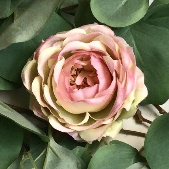 Головка розы АНГЛИЙСКАЯ салатовая-розовая