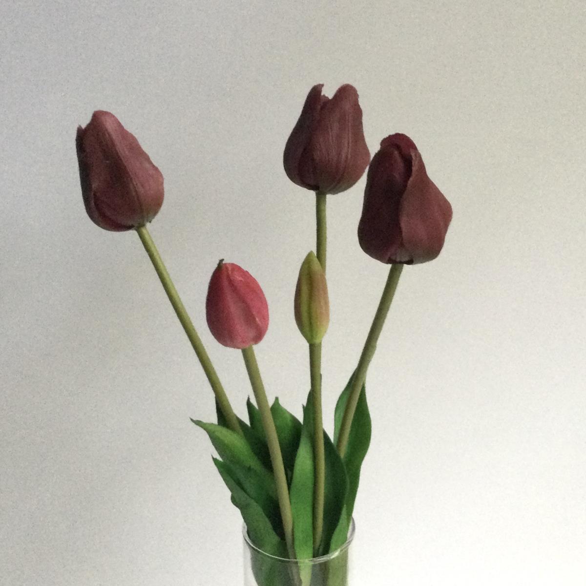 Букет гелевых тюльпанов с бутонами сливовый -40см