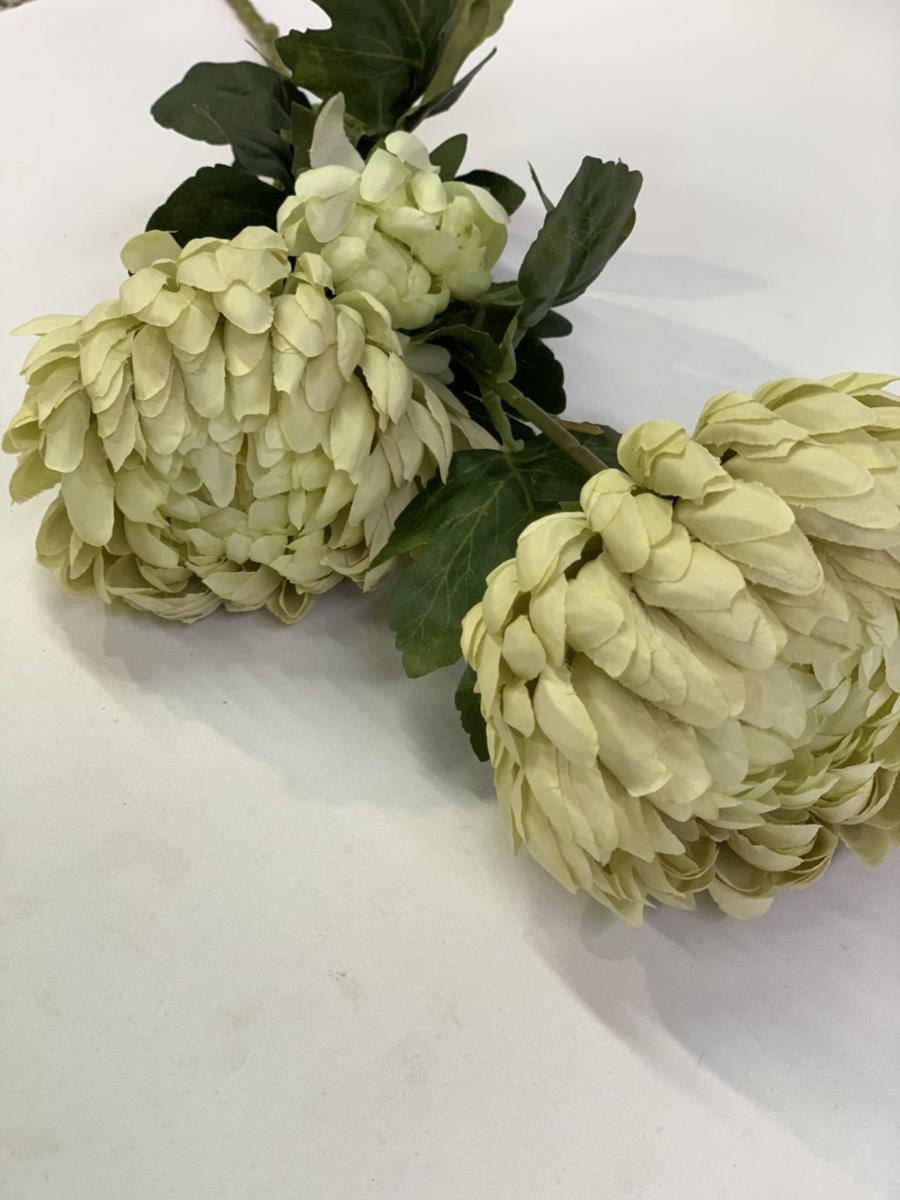 Ветка хризантемы салатовая 75см