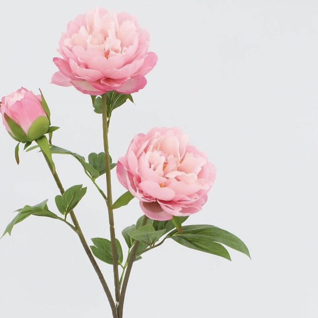 Ветка пиона розовая 78см