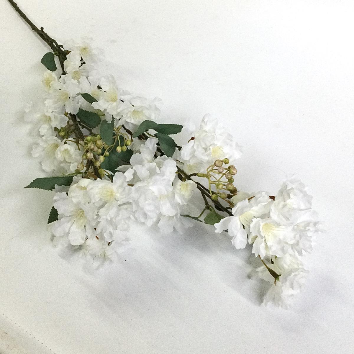 Ветка мирта белаЯ - Зображення 2